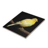 Gelbkaninchen Fliese (Seite)