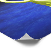 Gelbkatzenwende Poster (Ecke)