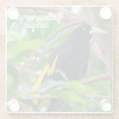 Gelbkauz Glasuntersetzer (Rückseite)