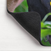 Gelbkauz Mousepad (Ecke)