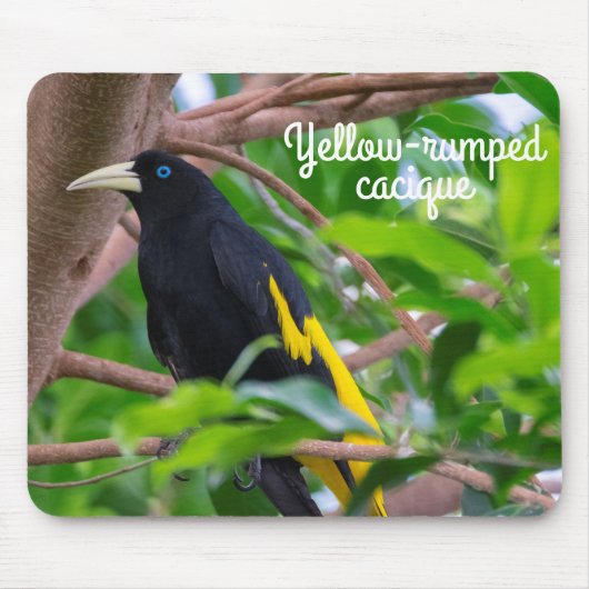 Gelbkauz Mousepad (Vorne)