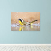 Gelbkehle Leinwanddruck (Insitu (Holzboden))