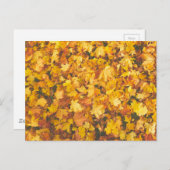 Gelbklemme Postkarte (Vorne/Hinten)