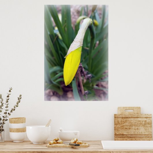 Gelbknospe Poster (Küche)