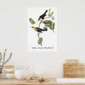 GelbkopfBlackbird - John Audubon Poster (Küche)