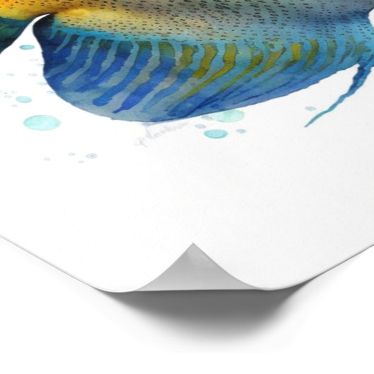 Gelbkopfengel in Aquarellblaster Poster (Ecke)