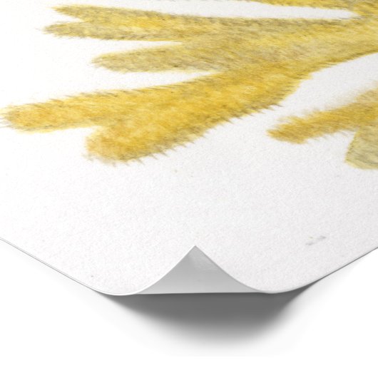 Gelbkoralle Poster (Ecke)