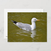 Gelbkörbe Postkarte (Vorne/Hinten)