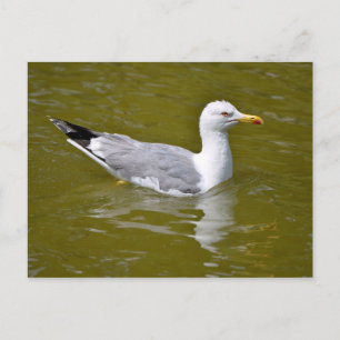 Gelbkörbe Postkarte