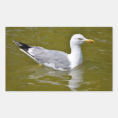 Gelbkörbe Rechteckiger Aufkleber (Vorderseite)