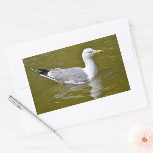 Gelbkörbe Rechteckiger Aufkleber (Umschlag)