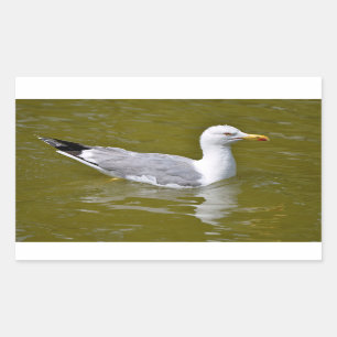 Gelbkörbe Rechteckiger Aufkleber