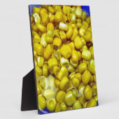 Gelbkorn Fotoplatte (Seite)