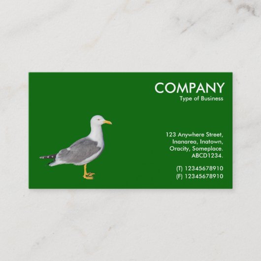Gelbkörniger Möwe - Grün 006600 Visitenkarte (Vorderseite)