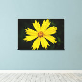 Gelbkosmos-Blume Nah-up 2 Leinwanddruck (Insitu (Holzboden))