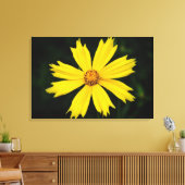 Gelbkosmos-Blume Nah-up 2 Leinwanddruck (Insitu (Wohnzimmer))