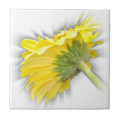 Gelbkraut Fliese (Vorderseite)