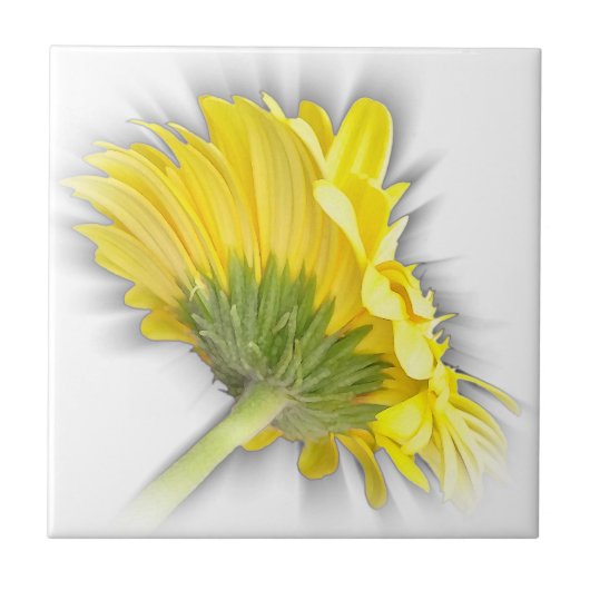 Gelbkraut Fliese (Vorderseite)