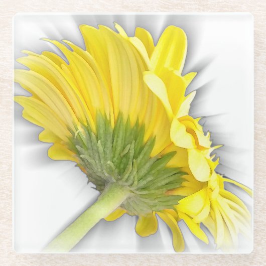 Gelbkraut Glasuntersetzer (Vorderseite)