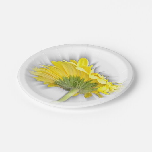 Gelbkraut Pappteller (Schrägansicht)