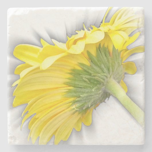 Gelbkraut Steinuntersetzer (Vorderseite)