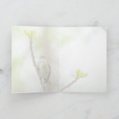 Gelbkraut, weiblich karte (Innenseite)