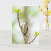 Gelbkraut, weiblich karte (Gelbe Blume)