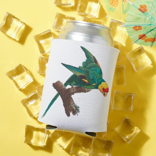 Gelbkronensittich Dosenkühler (In Situ Sommer)