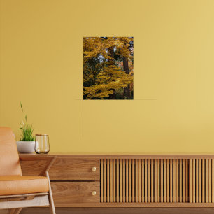 Gelbliche Japanische Ahornblätter Botanisch Poster
