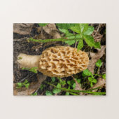 Gelbliche Morchel Puzzle (Horizontal)