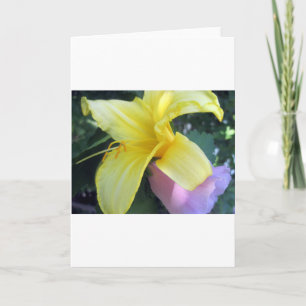 Gelblilie Feiertagskarte
