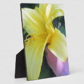 Gelblilie Fotoplatte (Seite)