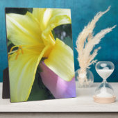 Gelblilie Fotoplatte (Seite)