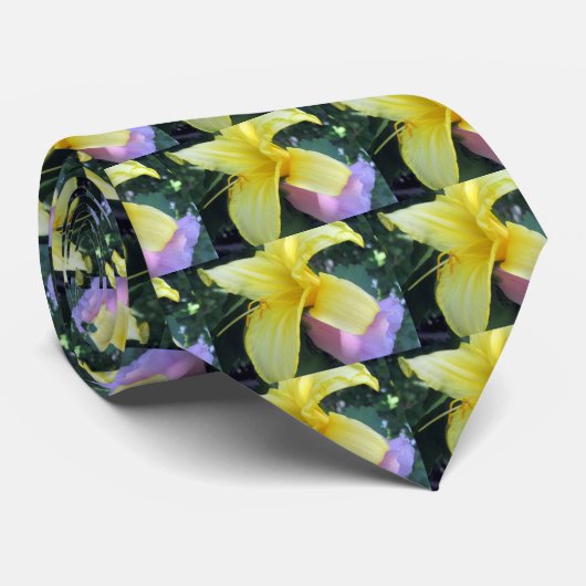 Gelblilie Krawatte (Gerollt)