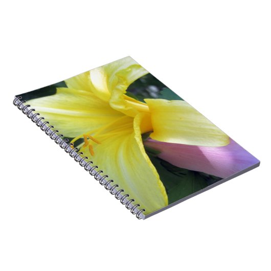 Gelblilie Notizblock (Rechte Seite)
