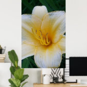 Gelblilie Poster (Heimbüro)