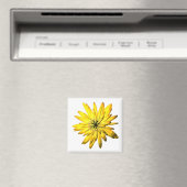 Gelbmagnet Magnet (In Situ (Geschirrspüler))