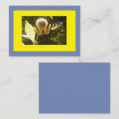 Gelbmonarch Visitenkarte (Vorne/Hinten)