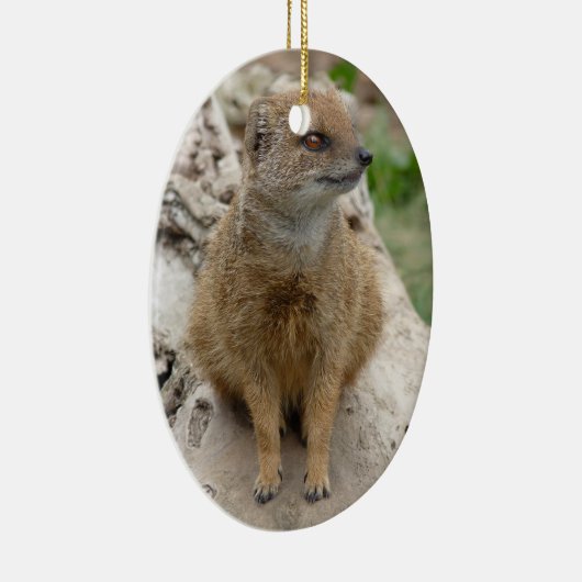 Gelbmongoise Keramikornament (Rechts)