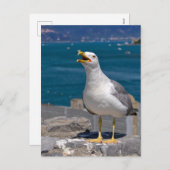 Gelbmöwe Feiertagspostkarte (Vorne/Hinten)