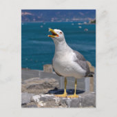 Gelbmöwe Feiertagspostkarte (Vorderseite)