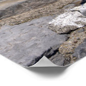 Gelbmöwe Poster (Ecke)