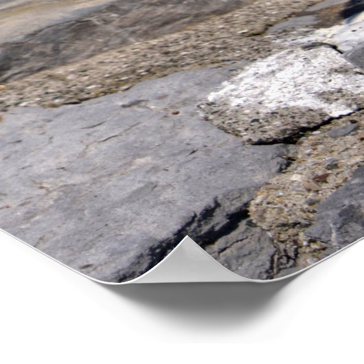 Gelbmöwe Poster (Ecke)