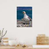 Gelbmöwe Poster (Küche)