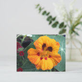 Gelborange Nasturtium Postkarte (Stehend Vorderseite)
