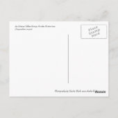 Gelborange Nasturtium Postkarte (Rückseite)