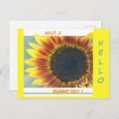Gelborange Sonnenblumenkruste. HELLO Postcard Postkarte (Vorne/Hinten)