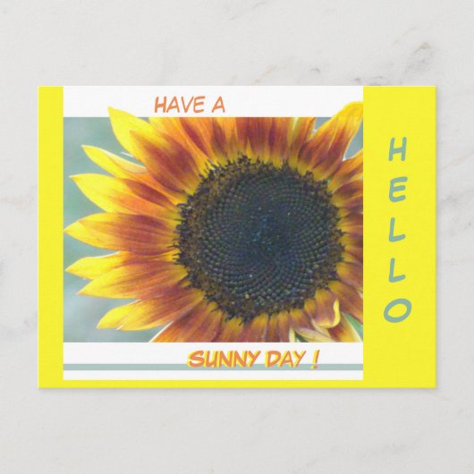 Gelborange Sonnenblumenkruste. HELLO Postcard Postkarte (Vorderseite)