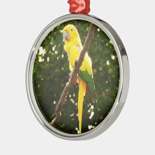 Gelbpapagei Ornament Aus Metall (Links)