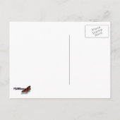 Gelbpapagei Postkarte (Rückseite)